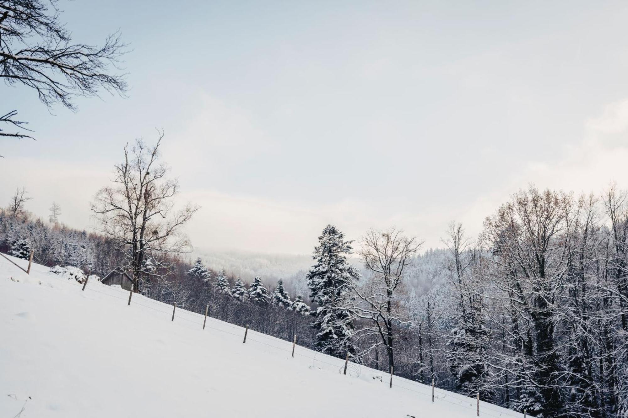 Waldjuwel Mostviertel Allhartsberg Bagian luar foto